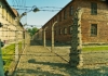 Международен ден на освобождението на нацистките концентрационни лагери